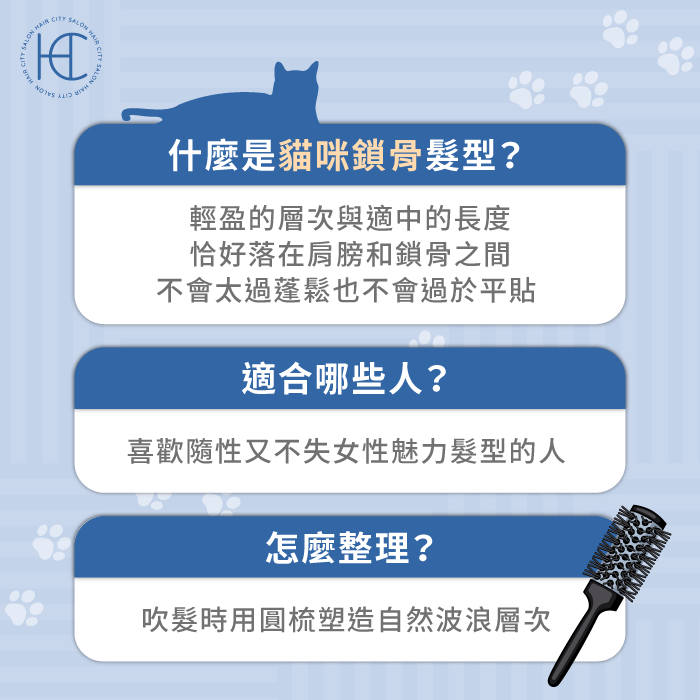 貓咪鎖骨髮型特點-貓咪鎖骨髮型